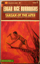 Load image into Gallery viewer, Tarzan of the Apes
