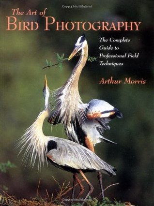 Art of Bird Photography