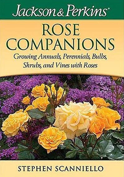 Rose Companions
