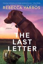 Load image into Gallery viewer, The Last Letter
