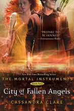 Load image into Gallery viewer, City of Fallen Angels
