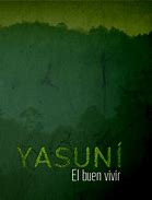 Yasuni Imagenes